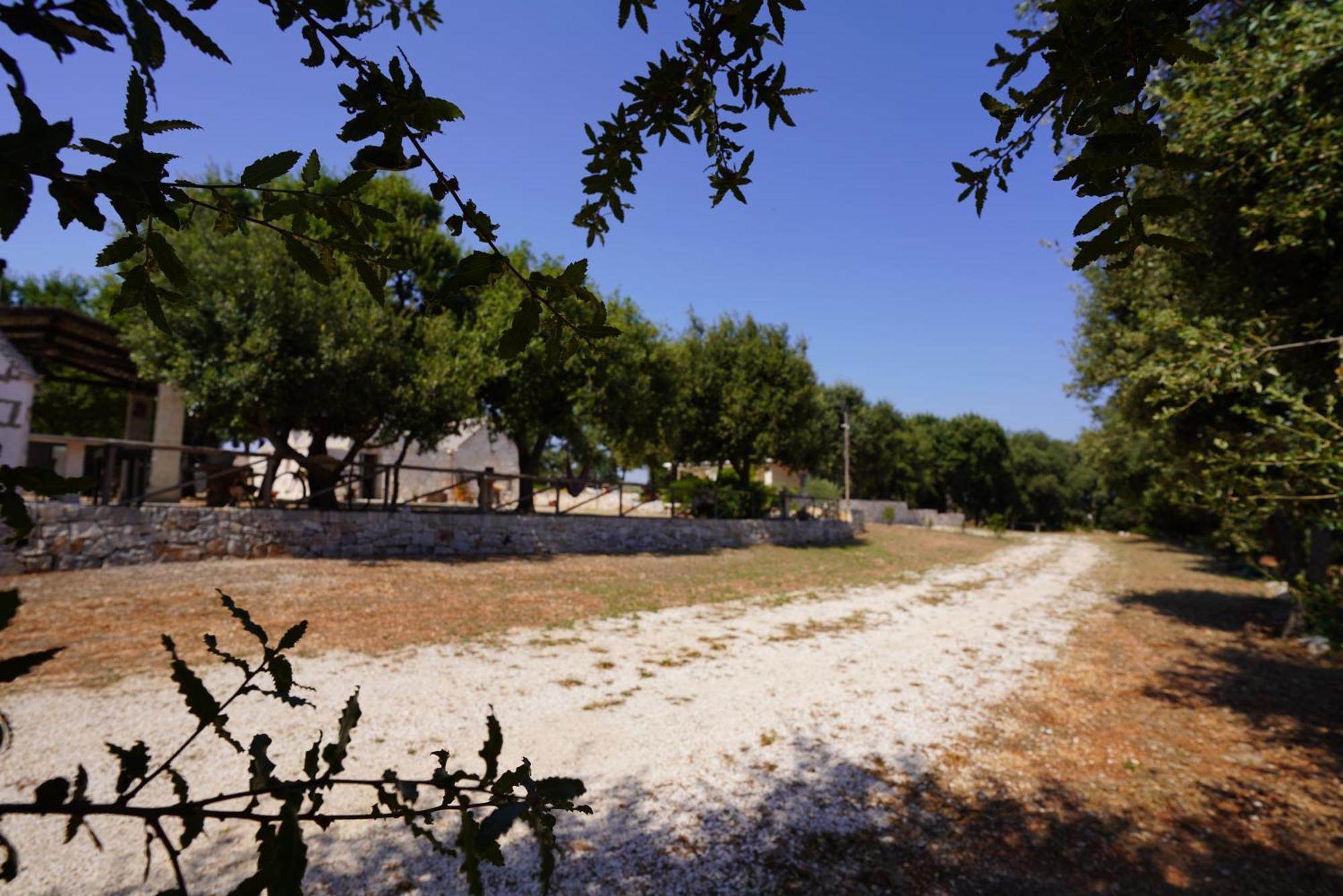 Holiday home Trullo Mont Bell Con Giardino E Piscina Privata Selva Di Fasano